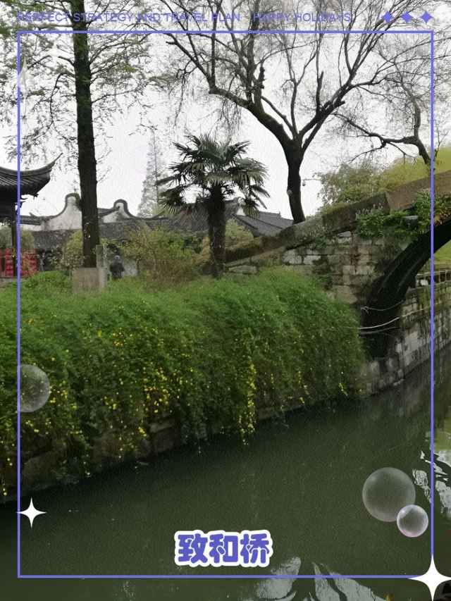 枫泾古镇旅行图片 2