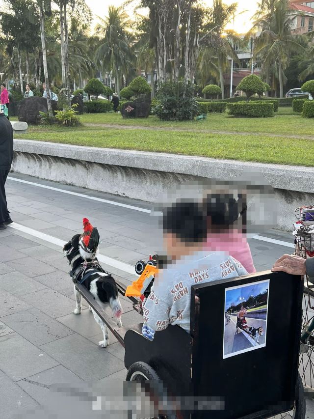 海滨公园旅行图片 2