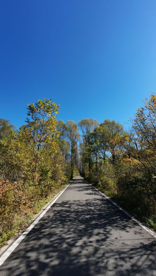 小兴安岭植物园旅行图片 3