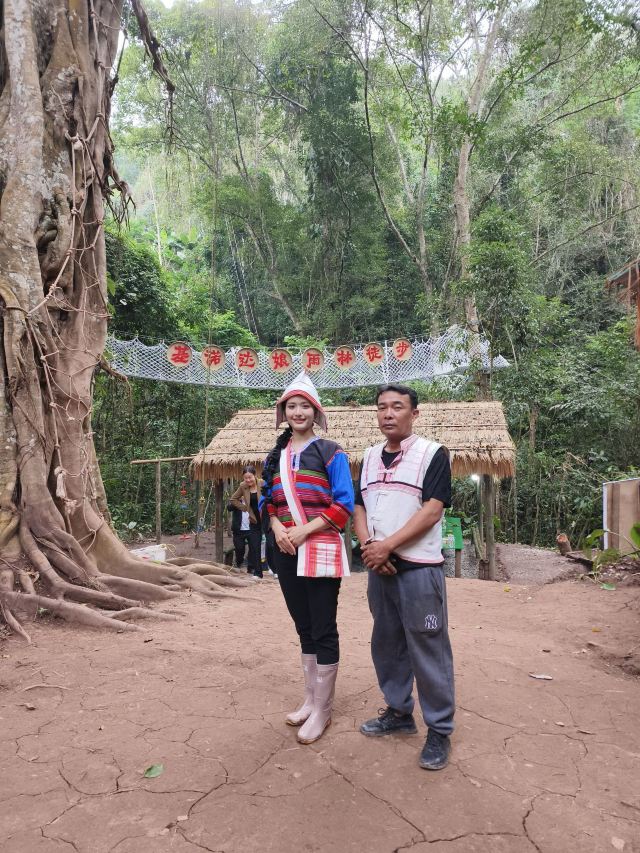 基诺山达娘雨林徒步旅行图片 6