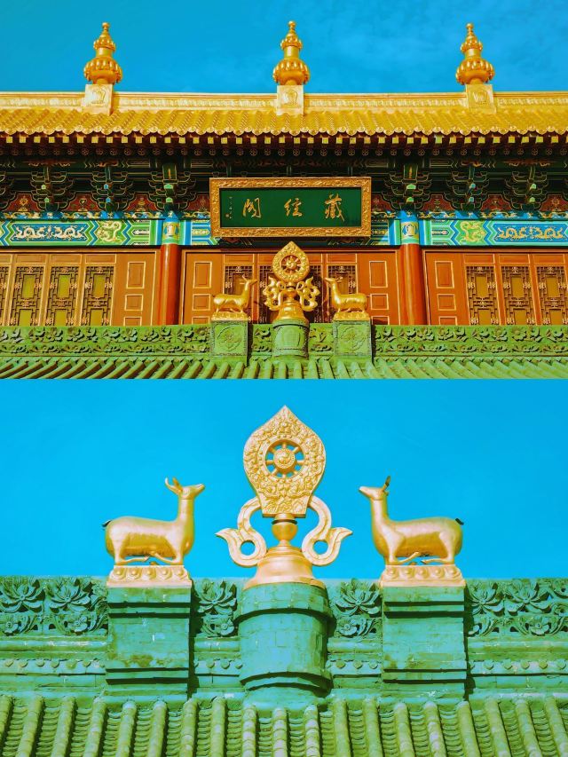 广仁寺旅行图片 13