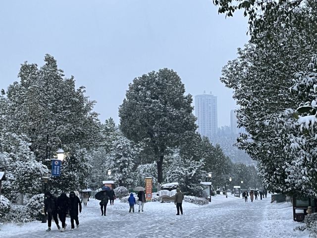 桂阳文化园旅行图片 1