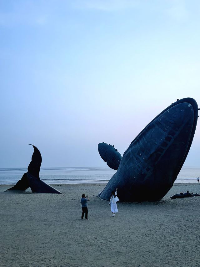 孤独的鲸旅行图片 1