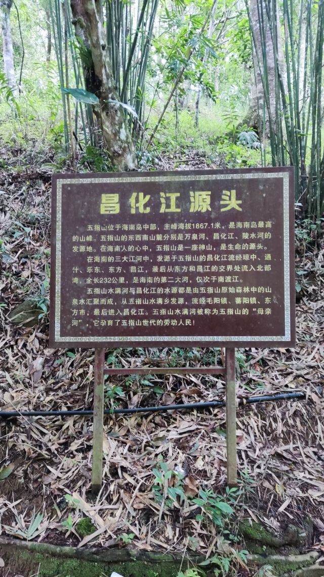 海南热带雨林国家公园五指山景区旅行图片 1