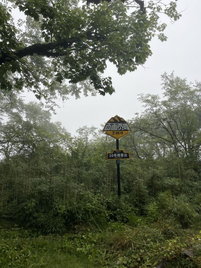 王岗坪旅游景区-露营区旅行图片 1