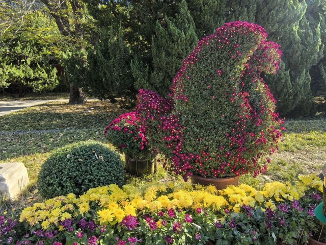 北海公园旅行图片 11
