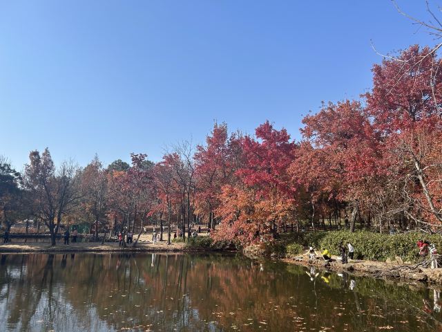 天平山风景名胜区旅行图片 3
