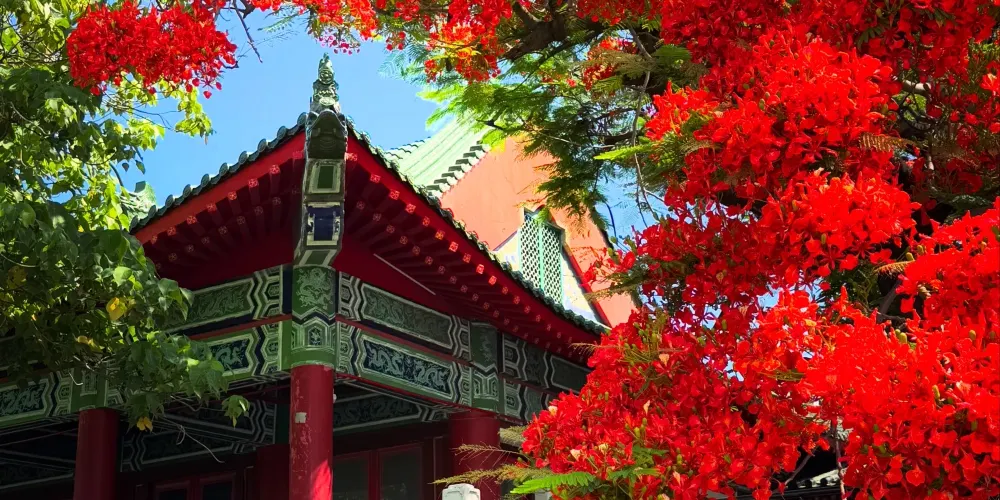 永安旅遊