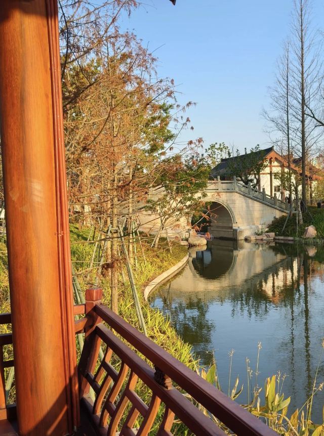 江心屿旅行图片 1