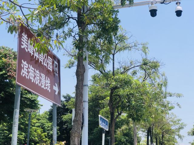 美峰体育公园旅行图片 1