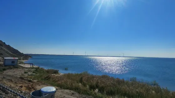 布倫托海