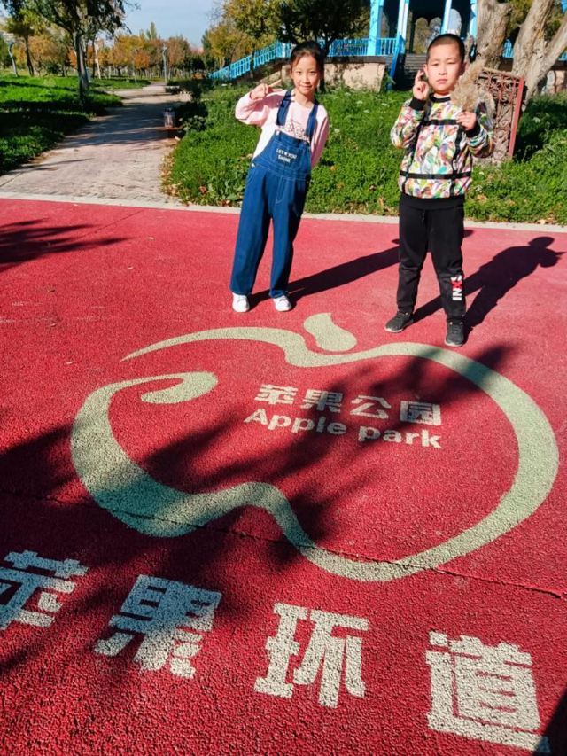 苹果公园旅行图片 5