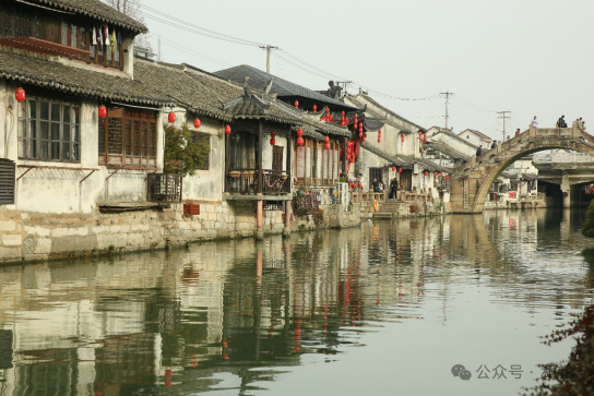 枫泾古镇旅行图片 1