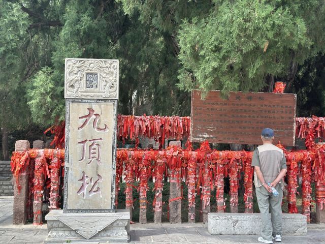 四门塔旅行图片 3