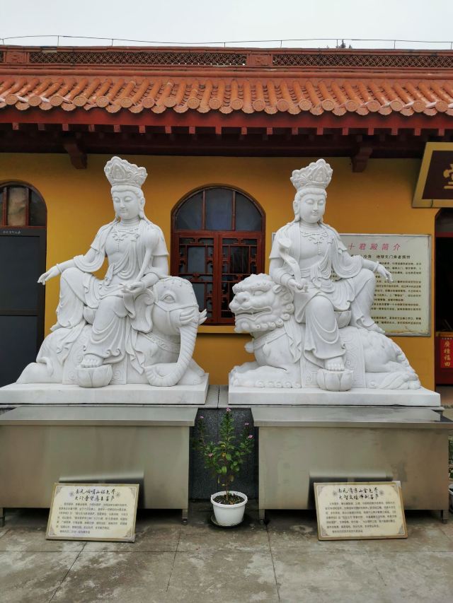 泰山寺旅行图片 14