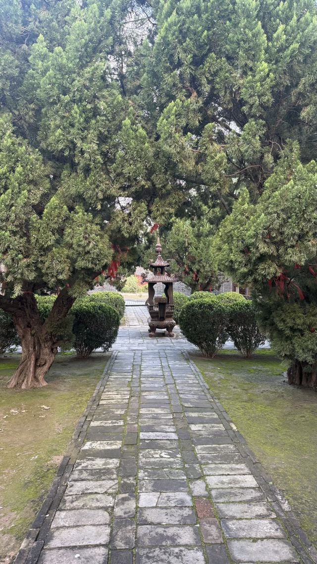 司马温公祠旅行图片 3