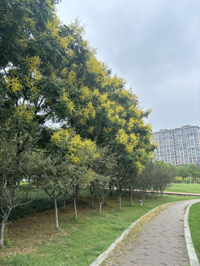 雨花石地质公园旅行图片 1