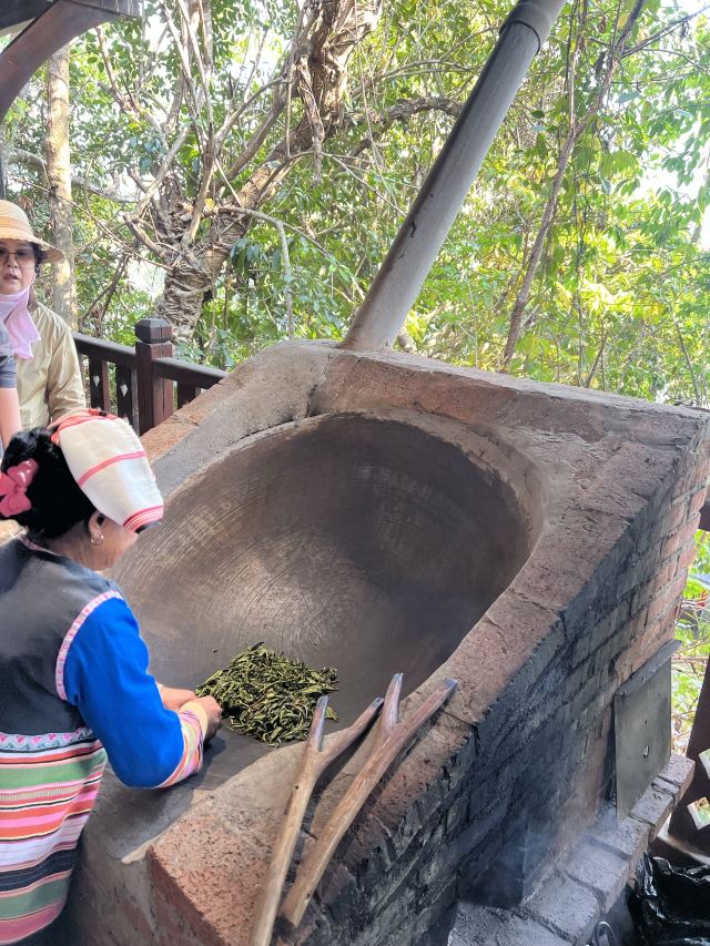 基诺山寨景区旅行图片 1
