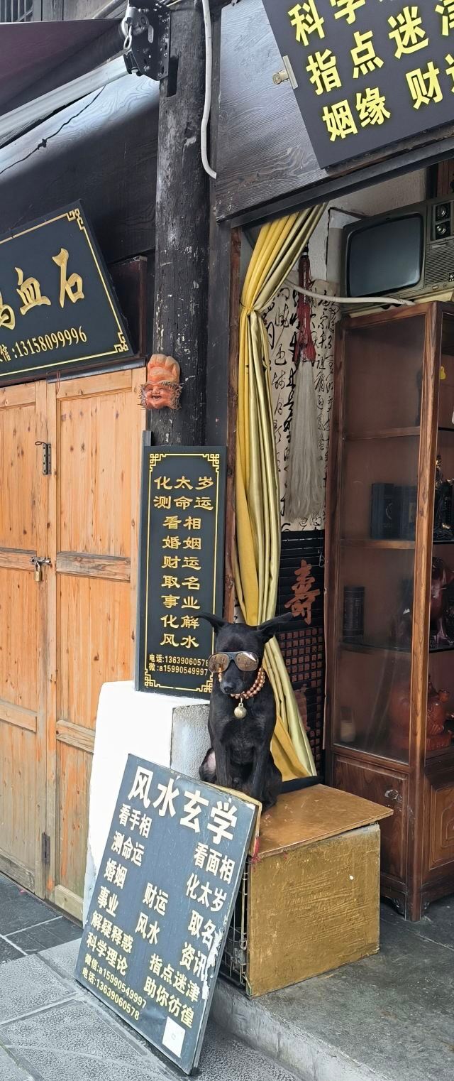 青岩古镇旅行图片 1