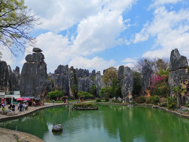 石林风景区旅行图片 3