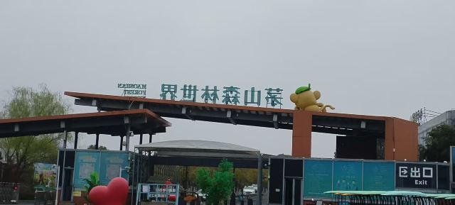 茅山森林世界旅行图片 1