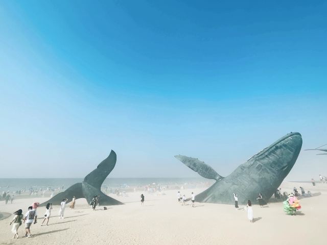 孤独的鲸旅行图片 1