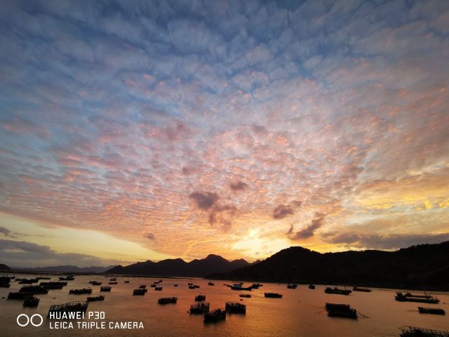 小皓海滩旅行图片 13