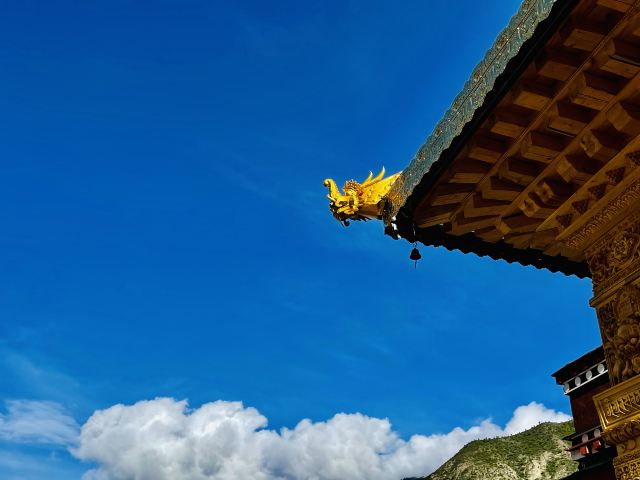 达修寺旅行图片 8
