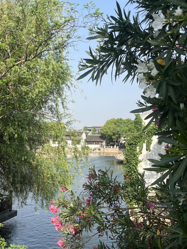 荡口古镇旅行图片 6