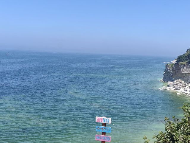 养马岛林间花海旅行图片 1