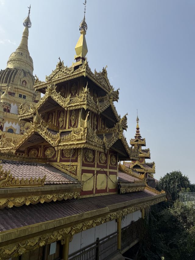 勐巴娜西珍奇园旅行图片 4