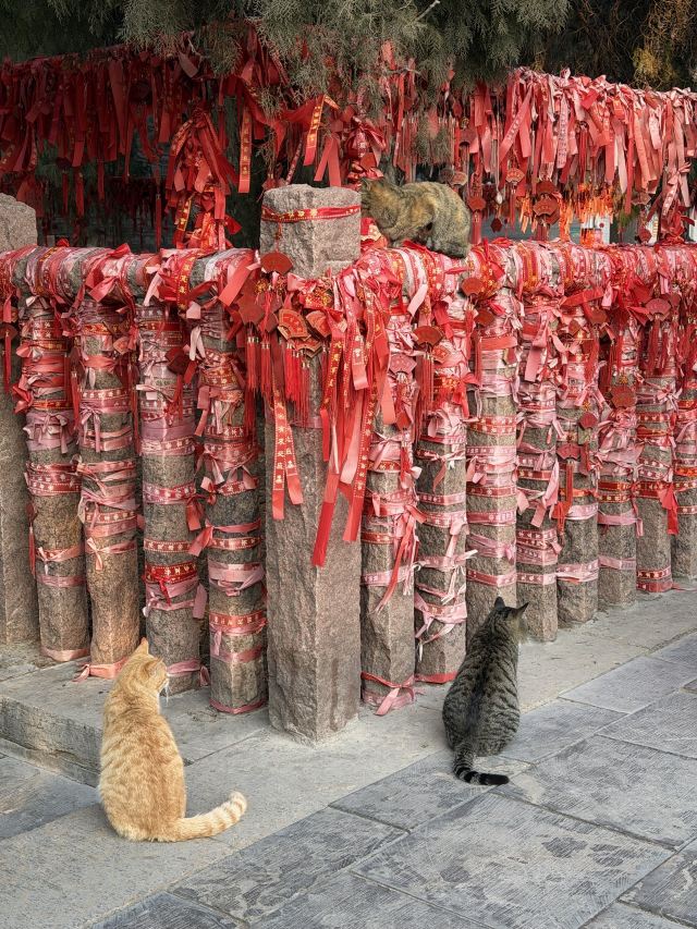 四门塔旅行图片 3