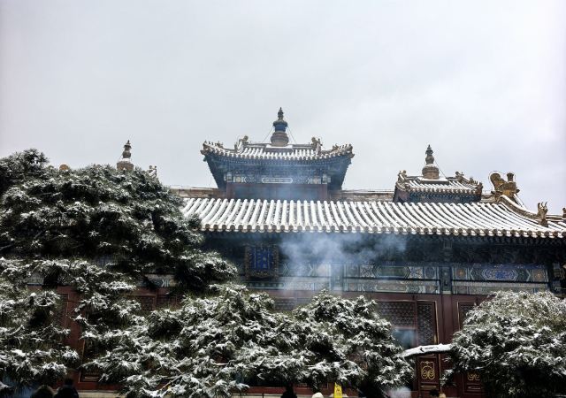 雍和宫旅行图片
