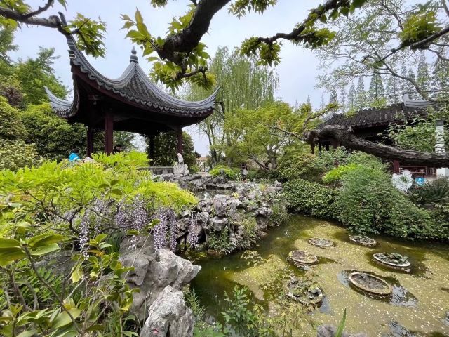 古藤园旅行图片 6