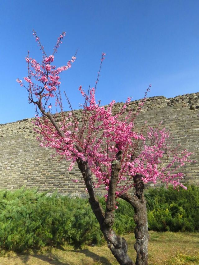 北京明城墙遗址公园旅行图片 2