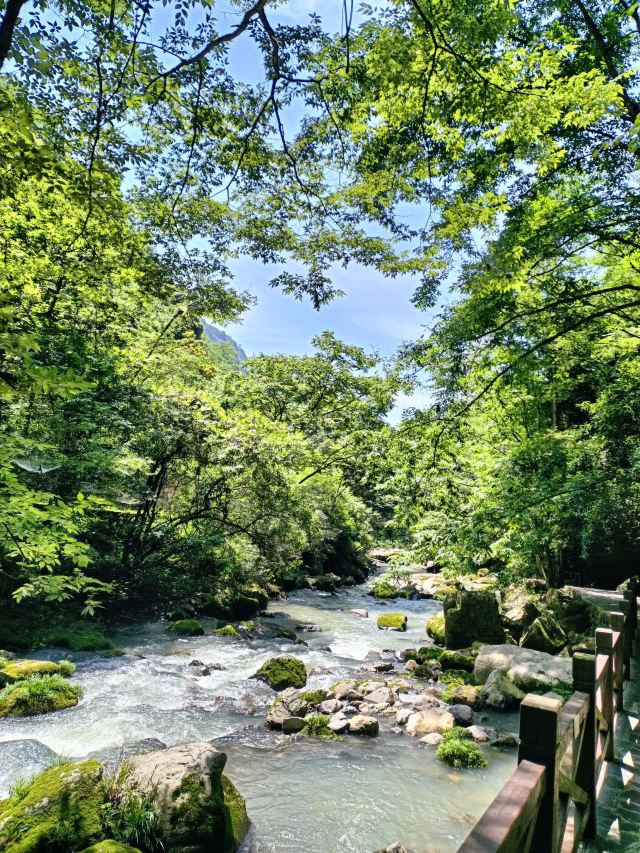 昭君旅游·保康九路寨生态旅游区旅行图片 2