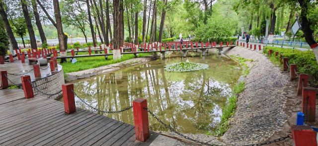 麒麟湾公园旅行图片 11