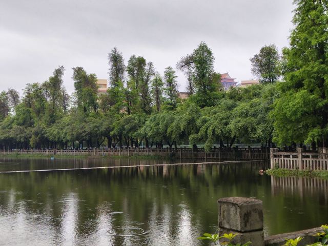 玉林市人民公园旅行图片 11
