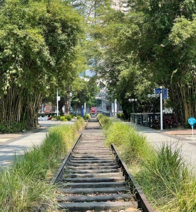 岐江公园旅行图片 2