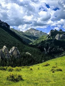则岔石林-碌曲-Zheng-Nan