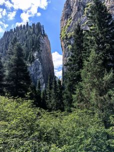 则岔石林-碌曲-Zheng-Nan