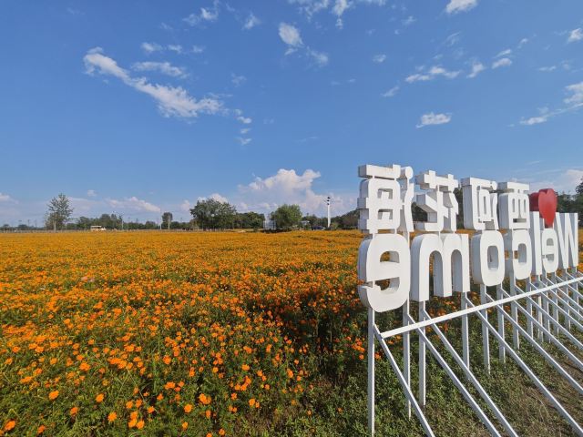 西河古镇旅行图片 4