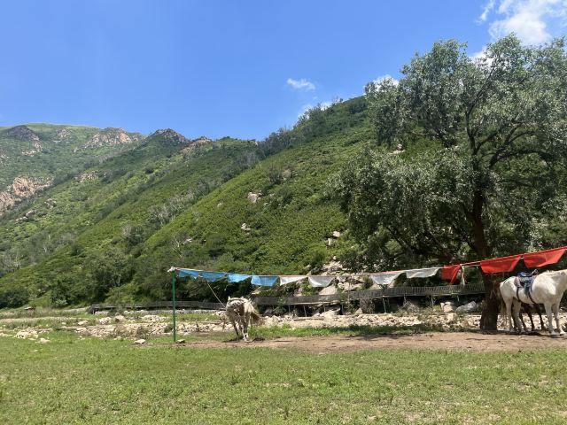 红石崖国家生态公园旅行图片 2