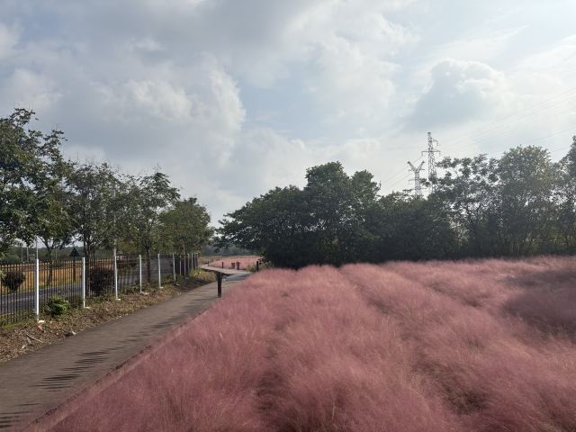 郭兴庄园旅行图片 4