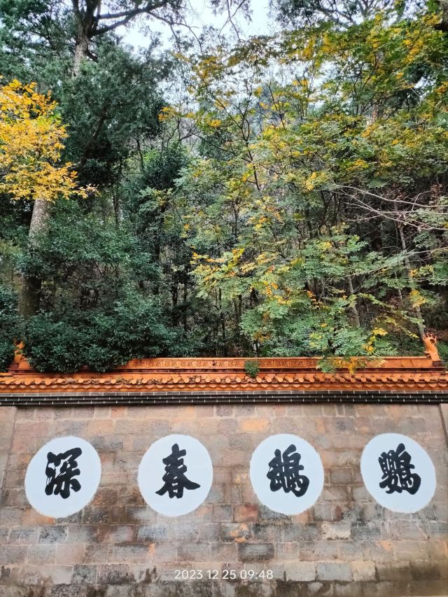 官渡古镇旅行图片 6