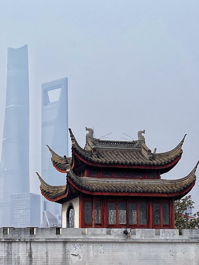 梅园公园旅行图片 8