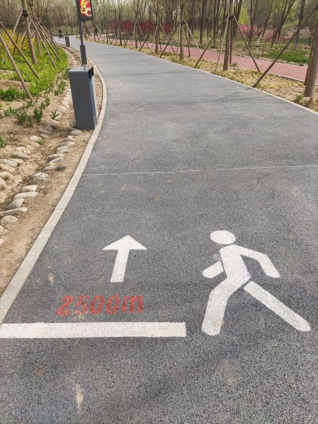 南苑森林湿地公园旅行图片 4
