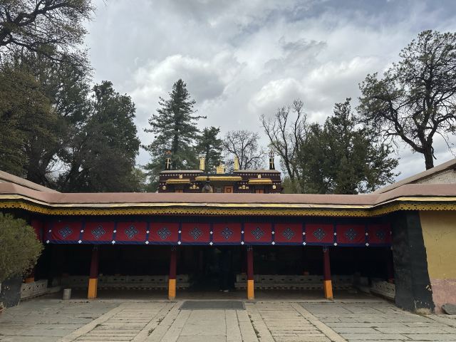 罗布林卡旅行图片 5