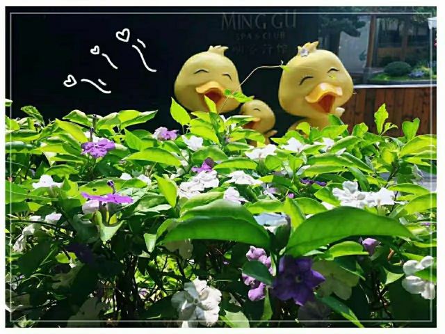 温泉公园旅行图片 1