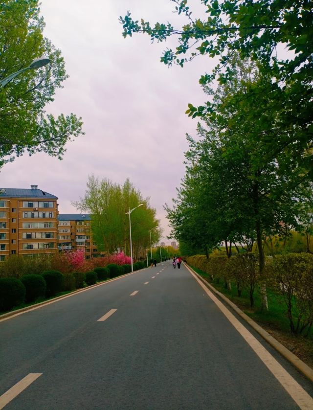 回忆岛旅行图片 1